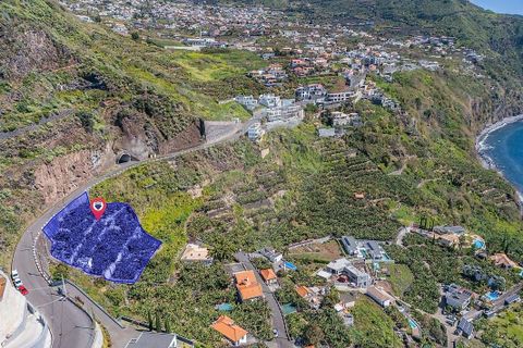Helårsgrund i Calheta, Madeira, Calheta - € 950.000 | Ref: 123511098-152 - foto 4