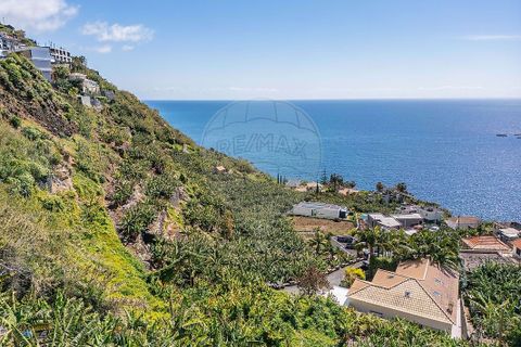 Helårsgrund i Calheta, Madeira, Calheta - € 950.000 | Ref: 123511098-152 - foto 5