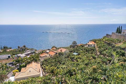 Helårsgrund i Calheta, Madeira, Calheta - € 950.000 | Ref: 123511098-152 - foto 6