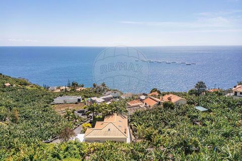 Helårsgrund i Calheta, Madeira, Calheta - € 950.000 | Ref: 123511098-152 - foto 7