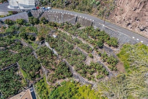 Helårsgrund i Calheta, Madeira, Calheta - € 950.000 | Ref: 123511098-152 - foto 9