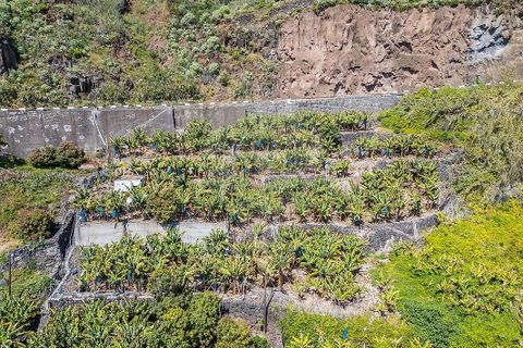 Helårsgrund i Calheta, Madeira, Calheta - € 950.000 | Ref: 123511098-152 - foto 10