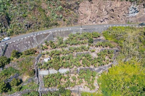 Helårsgrund i Calheta, Madeira, Calheta - € 950.000 | Ref: 123511098-152 - foto 11