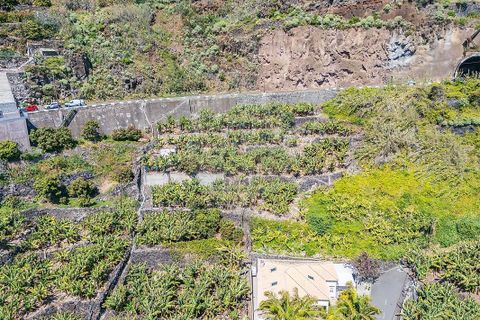 Helårsgrund i Calheta, Madeira, Calheta - € 950.000 | Ref: 123511098-152 - foto 12
