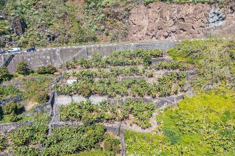 Helårsgrund i Calheta, Madeira, Calheta - € 950.000 | Ref: 123511098-152 - foto 13