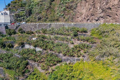 Helårsgrund i Calheta, Madeira, Calheta - € 950.000 | Ref: 123511098-152 - foto 14