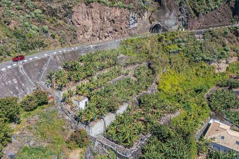 Helårsgrund i Calheta, Madeira, Calheta - € 950.000 | Ref: 123511098-152 - foto 15