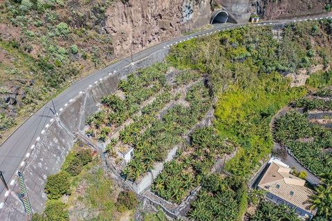 Helårsgrund i Calheta, Madeira, Calheta - € 950.000 | Ref: 123511098-152 - foto 16