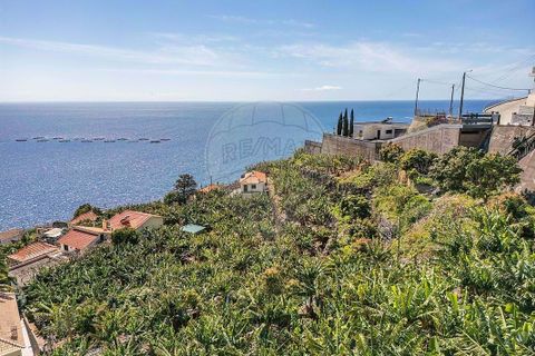 Helårsgrund i Calheta, Madeira, Calheta - € 950.000 | Ref: 123511098-152 - foto 19