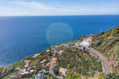 Helårsgrund i Calheta, Madeira, Calheta - € 950.000 | Ref: 123511098-152 - foto 23