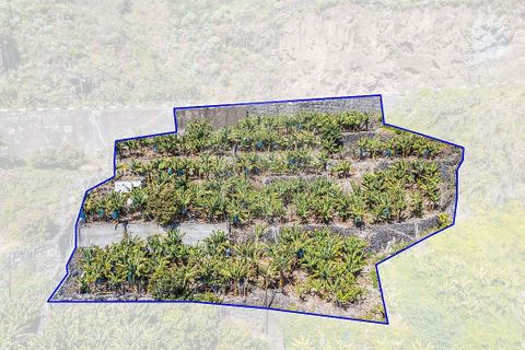 Helårsgrund i Calheta, Madeira, Calheta - € 950.000 | Ref: 123511098-152 - foto 24