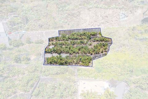 Helårsgrund i Calheta, Madeira, Calheta - € 950.000 | Ref: 123511098-152 - foto 26