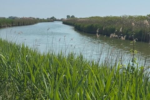 Herregård i Caorle, Venice, Caorle - € 620 000 | Ref: 43259 - foto 3