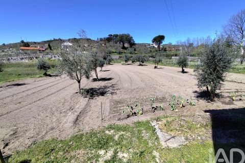 Byhus i Tabua, Coimbra, Tabua - € 78.000 | Ref: 881838 - foto 8
