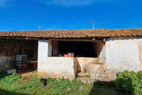 Byhus i Rio Maior, Santarem, Rio Maior - € 85.000 | Ref: 111357 - foto 8