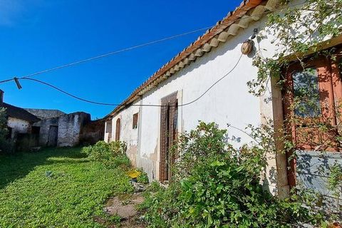 Byhus i Rio Maior, Santarem, Rio Maior - € 85.000 | Ref: 111357 - foto 12
