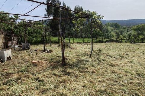 Byhus i Ansiao, Leiria, Ansiao - € 59.000 | Ref: 883870 - foto 36