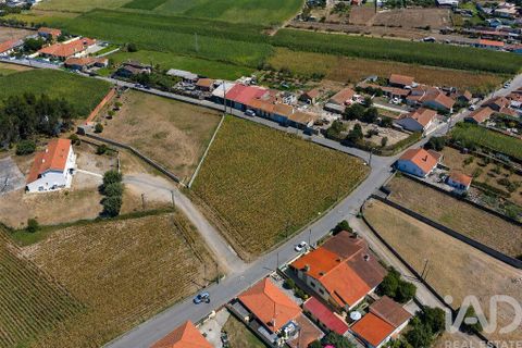 Terra a Ovar, Aveiro, Ovar - € 85.000 | Ref: 882332 - foto 2