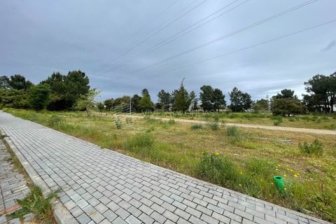 Villa i Quinta do Anjo, Setubal, Quinta do Anjo - € 750.000 | Ref: PM-1285 - foto 28