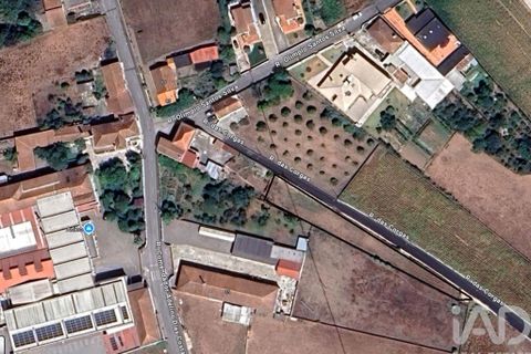 Terra a Estarreja, Aveiro, Estarreja - € 32.500 | Ref: 881323 - foto 5