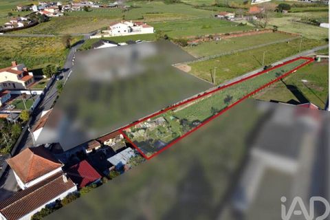 Terra a Estarreja, Aveiro, Estarreja - € 32.500 | Ref: 881323 - foto 2