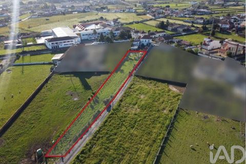 Terra a Estarreja, Aveiro, Estarreja - € 32.500 | Ref: 881323 - foto 3