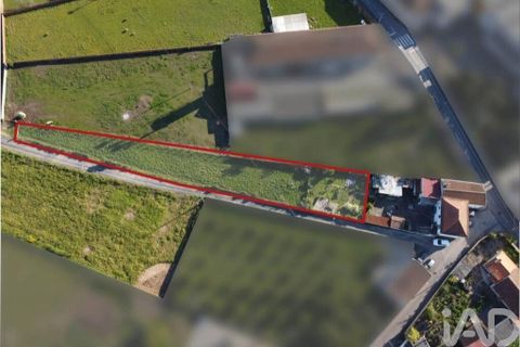 Terra a Estarreja, Aveiro, Estarreja - € 32.500 | Ref: 881323 - foto 4