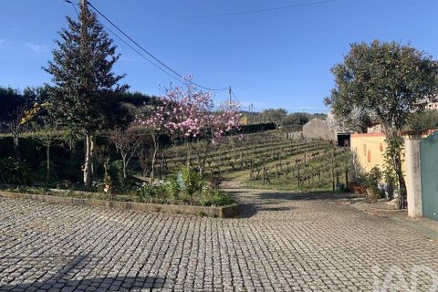 Farm i Sabrosa, Vila Real, Sabrosa - € 780.000 | Ref: 831982 - foto 7