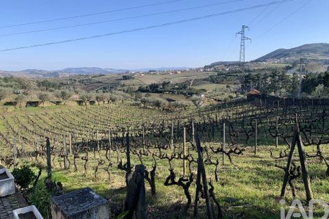 Farm i Sabrosa, Vila Real, Sabrosa - € 780.000 | Ref: 831982 - foto 17