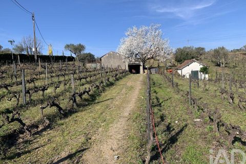 Farm i Sabrosa, Vila Real, Sabrosa - € 780.000 | Ref: 831982 - foto 22