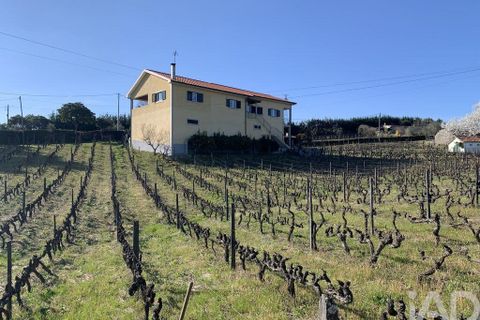 Farm i Sabrosa, Vila Real, Sabrosa - € 780.000 | Ref: 831982 - foto 24