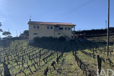 Farm i Sabrosa, Vila Real, Sabrosa - € 780.000 | Ref: 831982 - foto 29