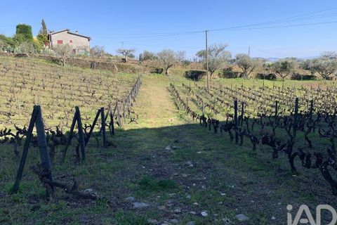 Farm i Sabrosa, Vila Real, Sabrosa - € 780.000 | Ref: 831982 - foto 30