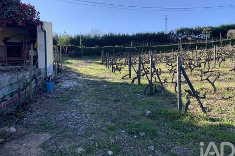 Farm i Sabrosa, Vila Real, Sabrosa - € 780.000 | Ref: 831982 - foto 31