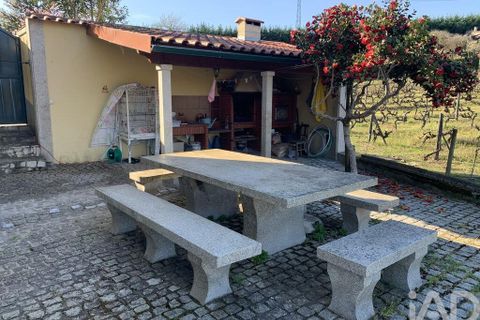 Farm i Sabrosa, Vila Real, Sabrosa - € 780.000 | Ref: 831982 - foto 33
