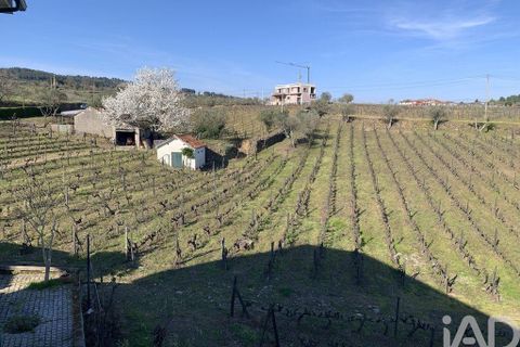 Farm i Sabrosa, Vila Real, Sabrosa - € 780.000 | Ref: 831982 - foto 34