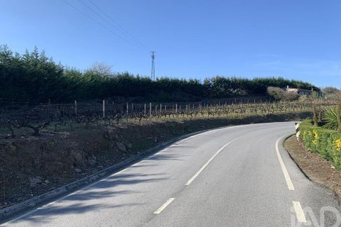 Farm i Sabrosa, Vila Real, Sabrosa - € 780.000 | Ref: 831982 - foto 36