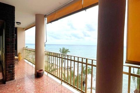 Leilighet i Torrevieja, Alicante, Torrevieja - € 475 000 | Ref: MCO-75723 - foto 8