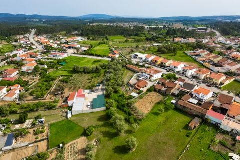 Tomt i Mealhada, Aveiro, Mealhada - € 119 999 | Ref: CBRNT 6300 - foto 6