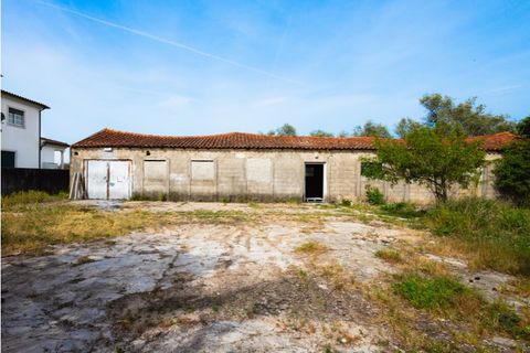 Tomt i Mealhada, Aveiro, Mealhada - € 119 999 | Ref: CBRNT 6300 - foto 8