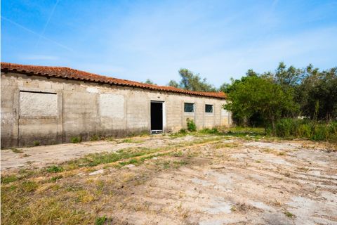 Tomt i Mealhada, Aveiro, Mealhada - € 119 999 | Ref: CBRNT 6300 - foto 9
