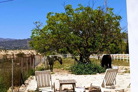 Herregård i Monovar, Alicante, Monovar - € 189 995 | Ref: P5439 - foto 4