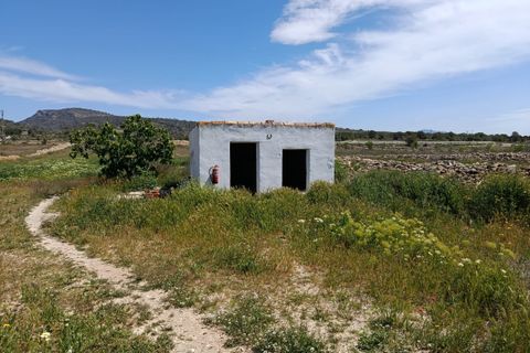 Herregård i Monovar, Alicante, Monovar - € 189 995 | Ref: P5439 - foto 43