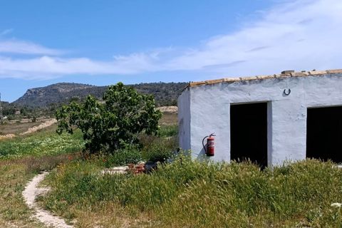 Herregård i Monovar, Alicante, Monovar - € 189 995 | Ref: P5439 - foto 45