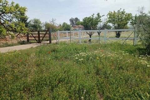 Herregård i Monovar, Alicante, Monovar - € 189 995 | Ref: P5439 - foto 47