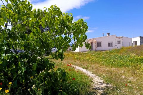 Herregård i Monovar, Alicante, Monovar - € 189 995 | Ref: P5439 - foto 49