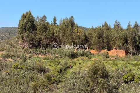 Helårsgrund i Silves, Faro, Silves - € 350.000 | Ref: TACM2668E - foto 7