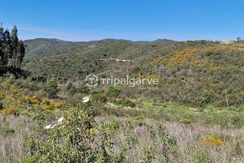 Helårsgrund i Silves, Faro, Silves - € 350.000 | Ref: TACM2668E - foto 8
