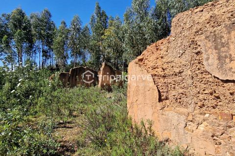 Helårsgrund i Silves, Faro, Silves - € 350.000 | Ref: TACM2668E - foto 10