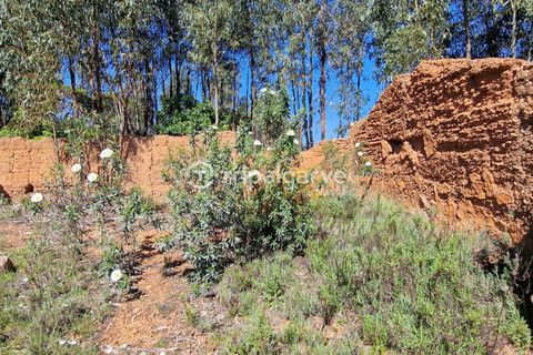 Helårsgrund i Silves, Faro, Silves - € 350.000 | Ref: TACM2668E - foto 11